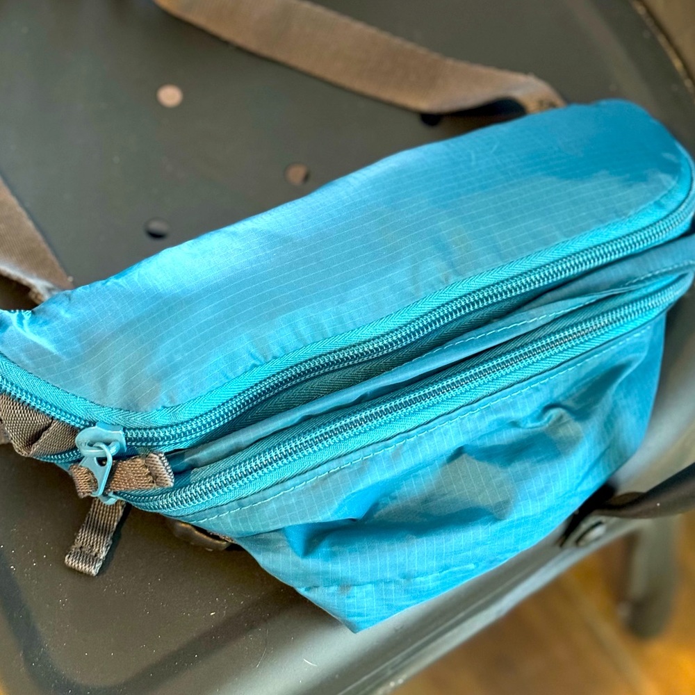 Eddie Bauer waist pack/backpack